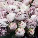 한아름사 이미지