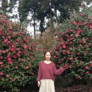 소리소길 이미지