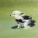 도노호텔 이미지