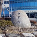국토관리소 앞 Daum카페