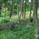 영광 성산리 지석묘군 이미지