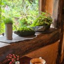 들꽃 | 강원도 원주 시골집 감성 정원 카페 들꽃이야기 방문후기