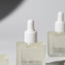 자주마리 이미지