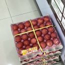 아빠정육점 | [충북 청주] 청주 정육점 재민아빠네참고깃간 후기