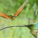 가장 아름다운 노래 (가창) 이미지