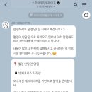 플랫앤웨이브 | 소르아스튜디오 인물 중심 스튜디오 웨딩촬영 준비물 &amp; 꿀팁 정리 (촬영시안·헤어변형·웨딩슈즈·네일)