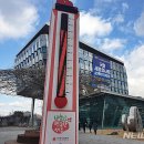 세종(구 사랑) 이미지