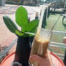 오렌지곰카페 | 💚[인천 송도] 중독되는 커피, 로스터리 카페, 오렌지 프로파일 커피랩 재방문인증후기💚
