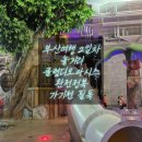 ​[부산여행2일차] 아이와 함께한 클럽디오아시스 가기전 필독!! 완전 정복 꿀팁 대방출 (준비물/청수당...