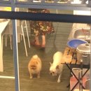 남해씨앤뷰 이미지