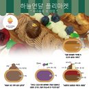 맛조은청과 이미지