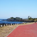 강정씨빌리지 이미지