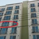 덕진-107 이미지