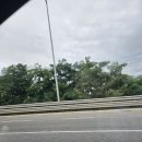 (유)장터마트 이미지