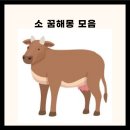 소 꿈해몽 모음집 이미지