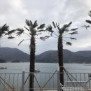 리을풀빌라2 이미지