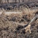 경기도야생동물구조관리센터 이미지