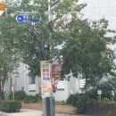 합천체육관 | 합천 황토한우축제 가을축제 재방문의사 🙆‍♀️