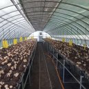 병열농장 이미지