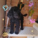 이쁘개(내포신도시점) 이미지