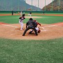 자연愛가 이미지