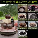 9회죽염 먹는법 15년묵힌 전통된장, 죽염된장찌게, 쌈장,호박무침,등 식이요법 음식 요리소개.. 이미지