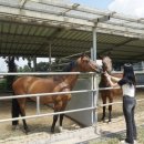 영웅목장 이미지