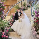 포포인츠 바이 쉐라톤 서울 구로 이미지