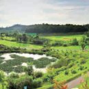 에콜리안 정선골프장 골프연습장 이미지