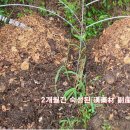 서경희농장 네이버블로그