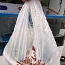 황가네 메기매운탕 이미지