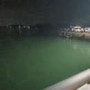 태안호스릴-27 | 안면도 가경주항 쭈꾸미 배낚시 하늘에 2호 선상낚시 영목항 워킹