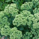 뚝섬한강공원-29 이미지