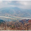 진상농원 Daum카페