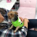 샵춘자