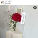 꼼므플레르 이미지