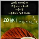 골드라벨 Daum카페