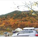 미르오토캠핑장 이미지