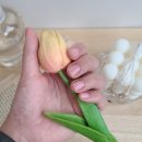 네일더이쁨 이미지