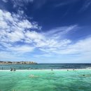 동부여성사우나 | 노랑풍선 시드니 5박7일 패키지 5일차 /본다이비치 아이스버그에서 수영하기/오페라하우스