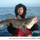 해양호민박 이미지