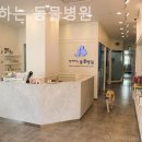함께하는 동물병원 이미지