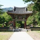 봉두2구 | 구례가볼만한곳-지리산천은사(240519)