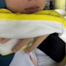 배내로 | 양산 계곡 배내골 수영장 펜션 배내펜션 평상 대여 가격 내돈내산 후기