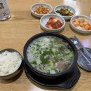 원효종합동물병원 이미지