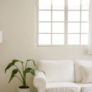 새현대의원 이미지