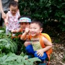 전진농장4 이미지