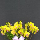 금공농장 이미지