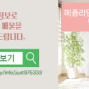 반도유보라공인중개사사무소 이미지