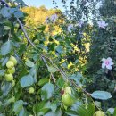 다리목여관 이미지